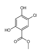 methyl 5-chloro-2,4-dihydroxybenzoate_67828-69-7