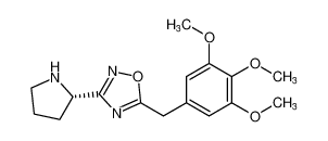 (S)-3-(pyrrolidin-2-yl)-5-(3,4,5-trimethoxybenzyl)-1,2,4-oxadiazole_681240-05-1