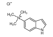 1H-indol-5-yl(trimethyl)azanium,chloride_6844-32-2