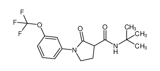 N-(tert-butyl)-2-oxo-1-(3-(trifluoromethoxy)phenyl)pyrrolidine-3-carboxamide_685531-43-5
