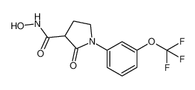 N-hydroxy-2-oxo-1-(3-(trifluoromethoxy)phenyl)pyrrolidine-3-carboxamide_685531-49-1