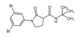 N-(tert-butyl)-1-(3,5-dibromophenyl)-2-oxopyrrolidine-3-carboxamide_685532-39-2