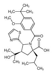 (2S,4R,5R)-2-isobutyl-1-(3-methoxy-4-tert-butylbenzoyl)-4-(1-hydroxy-1-methylethyl)-5-(1,3-thiazol-2-yl)pyrrolidine-2-carboxylic acid_687637-44-1