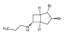 rel-(1R,2S,3S,5R,6S)-2,3-dibromo-N-propylbicyclo[3.2.0]heptan-6-amine_691893-25-1