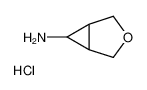 3-oxabicyclo[3.1.0]hexan-6-amine,hydrochloride_693248-55-4