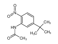 acetic acid-(5-tert-butyl-2-nitro-anilide)_6933-55-7