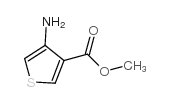 Methyl 4-aminothiophene-3-carboxylate_69363-85-5