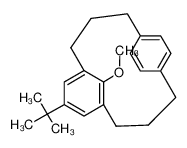 7-tert-Butyl-18-methoxy-tricyclo[11.2.2.15,9]octadeca-1(16),5,7,9(18),13(17),14-hexaene_69403-26-5