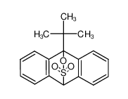 9-(tert-butyl)-9,10-dihydro-9,10-(epoxythio)anthracene 11,11-dioxide_69530-92-3