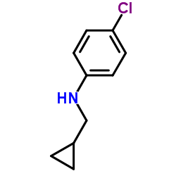 4-chloro-N-(cyclopropylmethyl)aniline_69565-54-4