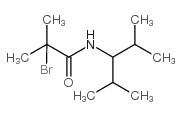 2-bromo-N-(2,4-dimethylpentan-3-yl)-2-methylpropanamide_69959-91-7