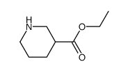 ethyl nipecotate_71962-74-8