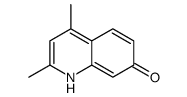 2,4-dimethyl-1H-quinolin-7-one_72365-58-3