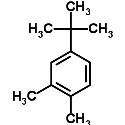 1,2-dimethyl-4-(tert-butyl)-benzene_7397-06-0