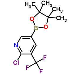 2-Chloro-5-(4,4,5,5-tetramethyl-1,3,2-dioxaborolan-2-yl)-3-(trifluoromethyl)pyridine_741709-67-1