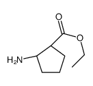 Ethyl (1S,2S)-2-aminocyclopentanecarboxylate_752181-59-2
