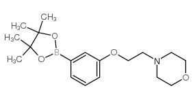 4-[2-[3-(4,4,5,5-tetramethyl-1,3,2-dioxaborolan-2-yl)phenoxy]ethyl]morpholine_756520-70-4
