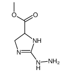 methyl 2-hydrazinyl-4,5-dihydro-1H-imidazole-5-carboxylate_760159-88-4