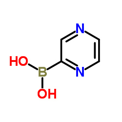 2-Pyrazinylboronic acid_762263-64-9