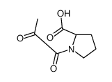 (2S)-1-(2-oxopropanoyl)pyrrolidine-2-carboxylic acid_76391-12-3