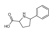 5-phenyl-pyrrolidine-2-carboxylic acid_78800-52-9