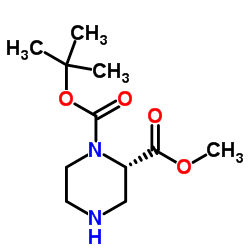 1-tert-Butyl-2-methylpiperazin-1,2-dicarboxylat_796096-64-5