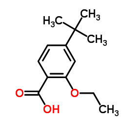 2-Ethoxy-4-(2-methyl-2-propanyl)benzoic acid_796875-53-1