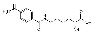 L-Lysine, N6-(4-hydrazinobenzoyl)-_799768-33-5