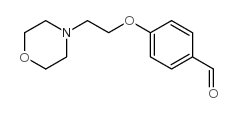 4-(2-morpholin-4-ylethoxy)benzaldehyde_82625-45-4
