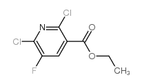ethyl 2,6-dichloro-5-fluoropyridine-3-carboxylate_82671-03-2