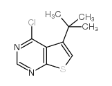 5-tert-butyl-4-chlorothieno[2,3-d]pyrimidine_827614-41-5