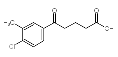 5-(4-chloro-3-methylphenyl)-5-oxopentanoic acid_845790-51-4