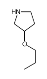 3-Propoxypyrrolidine_849924-75-0