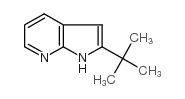 2-tert-butyl-1H-pyrrolo[2,3-b]pyridine_86847-74-7