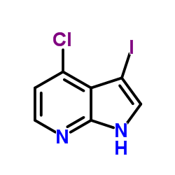 4-chloro-3-iodo-1h-pyrrolo[2,3-b]pyridine_869335-73-9