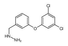 [3-(3,5-dichlorophenoxy)phenyl]methylhydrazine_887595-95-1