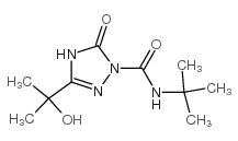 N-tert-butyl-5-(2-hydroxypropan-2-yl)-3-oxo-1H-1,2,4-triazole-2-carboxamide_889062-06-0
