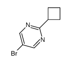 5-Bromo-2-cyclobutylpyrimidine_893567-22-1