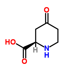 (2R)-4-Oxo-2-piperidinecarboxylic acid_894767-26-1