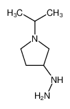 (1-isopropyl-pyrrolidin-3-yl)-hydrazine_89980-00-7