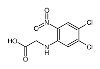 2-(4,5-dichloro-2-nitroanilino)acetic acid_90002-18-9