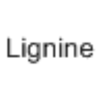 Lignine_9005-53-2