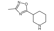 3-methyl-5-piperidin-3-yl-1,2,4-oxadiazole_902837-17-6