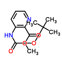 methyl 3-[(2-methylpropan-2-yl)oxycarbonylamino]pyridine-2-carboxylate_912369-42-7