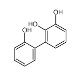 biphenyl-2,2',3-triol_91368-55-7