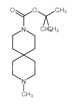 3,9-Diazaspiro[5.5]undecane-3-carboxylic acid, 9-methyl-, 1,1-dimethylethyl ester_918653-13-1