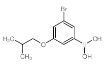 (3-Bromo-5-isobutoxyphenyl)boronic acid_918904-39-9