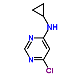 4-Chloro-6-Cyclopropylaminopyrimidine_941294-43-5