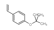 p-tert-butyloxystyrene_95418-58-9