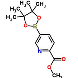 Methyl 5-(4,4,5,5-tetramethyl-1,3,2-dioxaborolan-2-yl)picolinate_957065-99-5